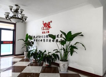 公司辦公環(huán)境